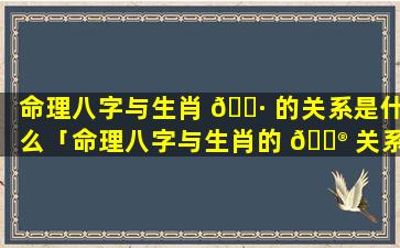 命理八字与生肖 🕷 的关系是什么「命理八字与生肖的 💮 关系是什么意思」